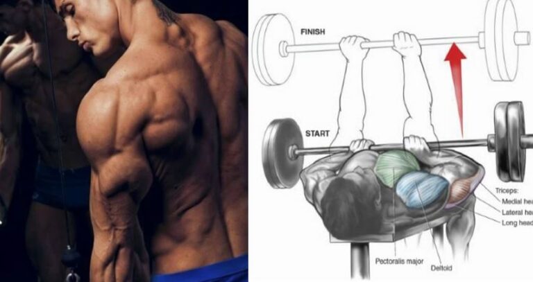 Les 4 Meilleurs Exercices pour Développer les Triceps