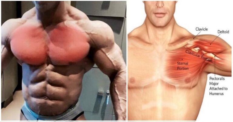 Accordez du repos au développé couché et essayez ces 5 exercices sans haltères pour une nouvelle croissance musculaire.