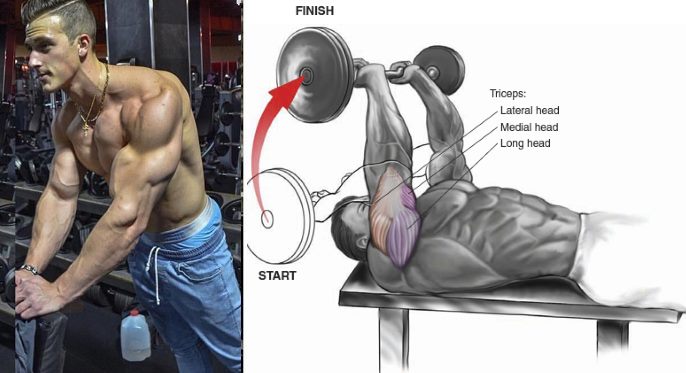 Crushes de triceps : 3 variantes pour des triceps plus gros